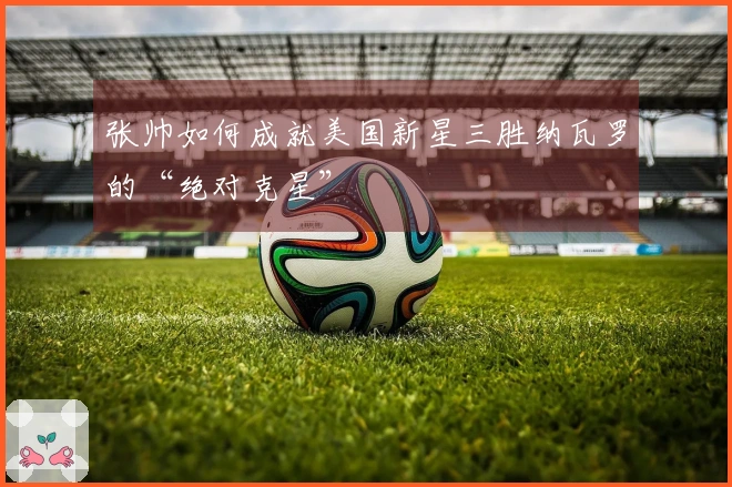 张帅如何成就美国新星三胜纳瓦罗的“绝对克星”